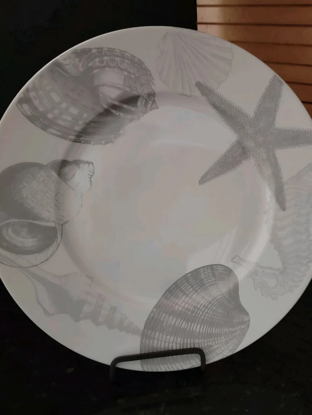 222 Fifth Coastal Life Silver Fibe Chiba 10 75